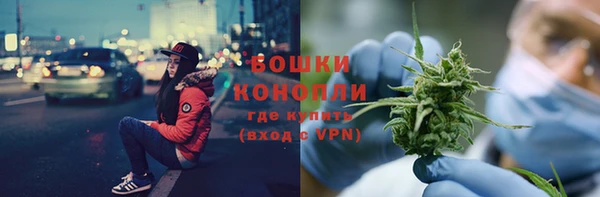 сатива Баксан
