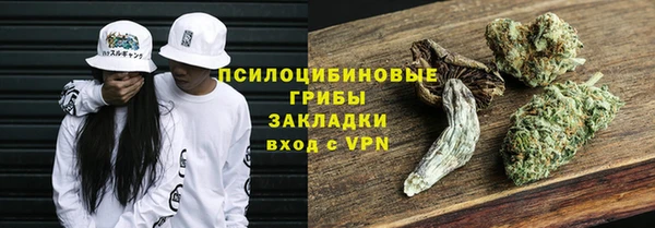 сатива Баксан