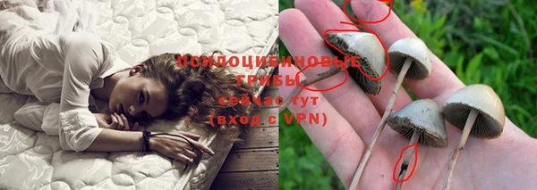 сатива Баксан